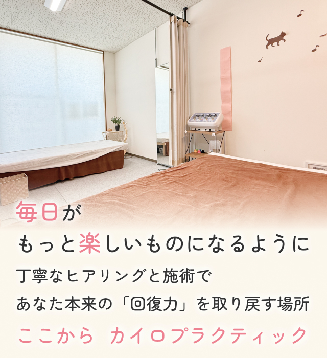 ここからカイロプラクティック